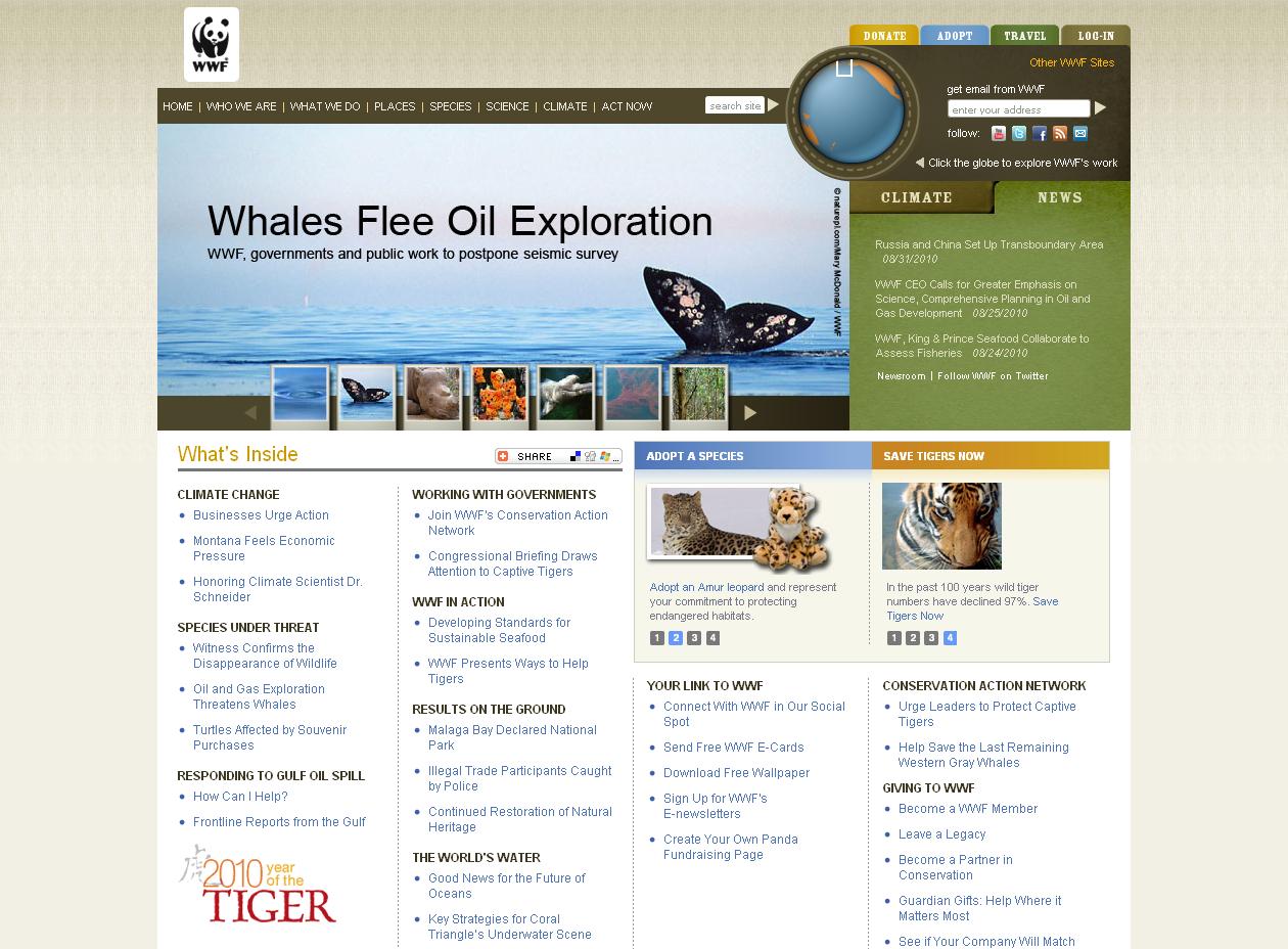 1-WWF-Nonprofit-Web-Design.jpg